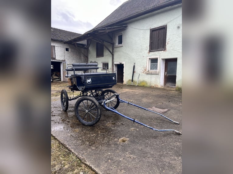 Carruaje, para un y para dos caballos