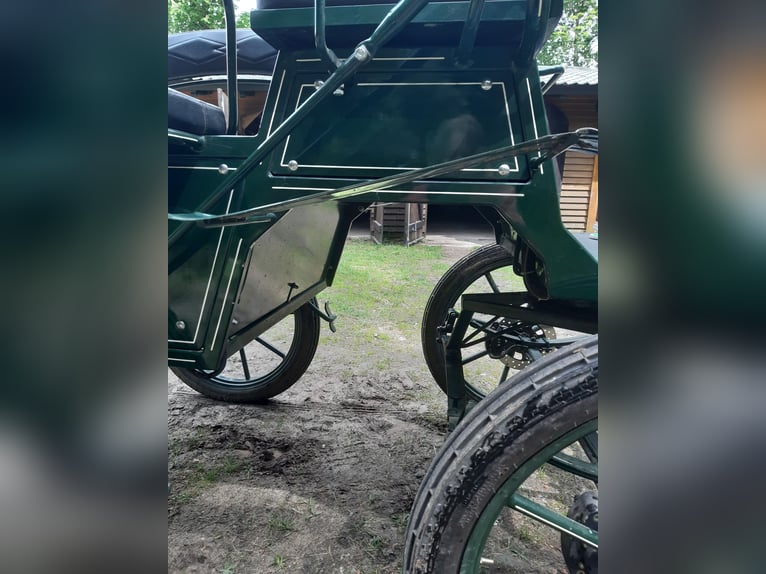 Carruaje Wagonette