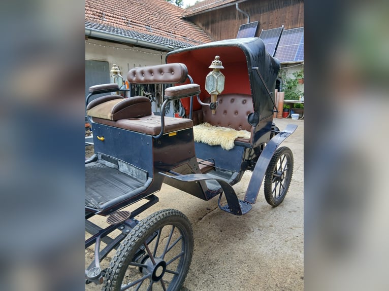 Coche histórico para caballos
