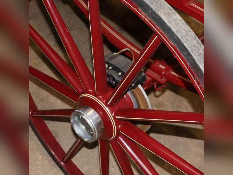 Kühnle Spider Carriage de doma, equipo de una o dos caballos, frenos de disco