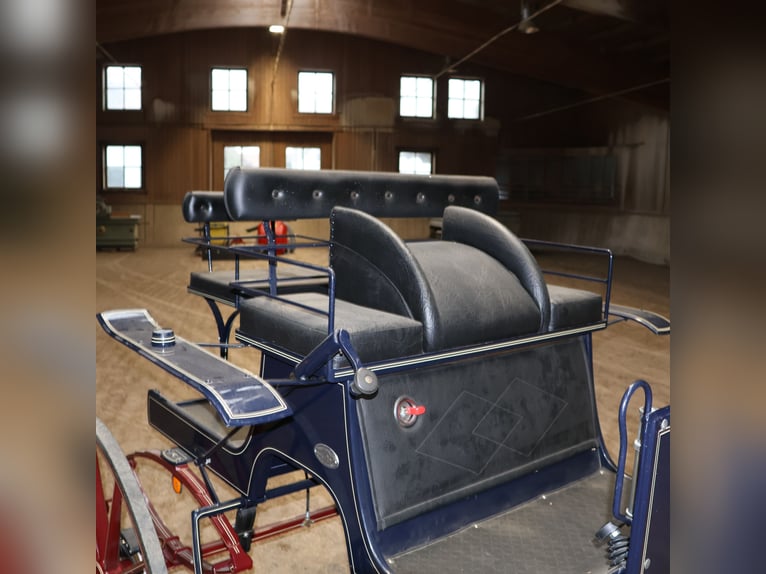 Kühnle Spider Carriage de doma, equipo de una o dos caballos, frenos de disco