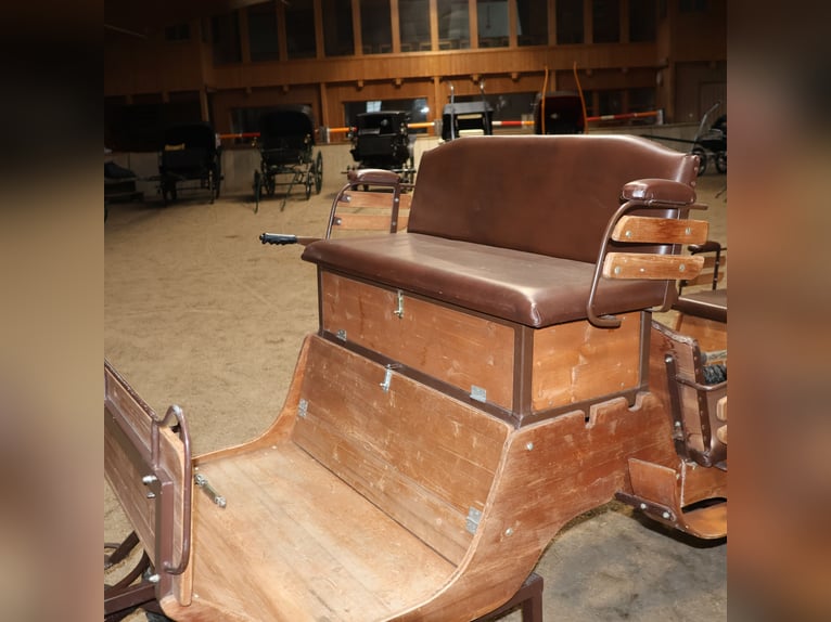 Sawa Freizeitwagen Kutsche Schmid Herdwangen