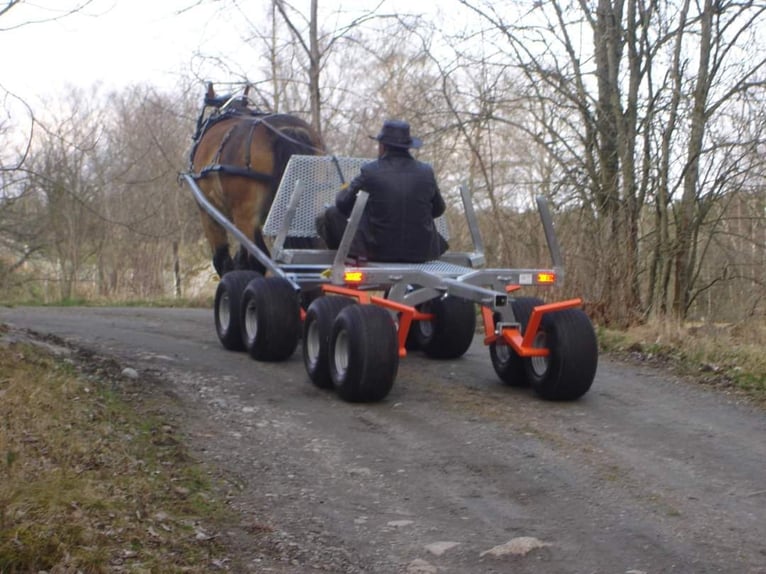 TW 5 Pferdemehrzweckanhänger, gebremst