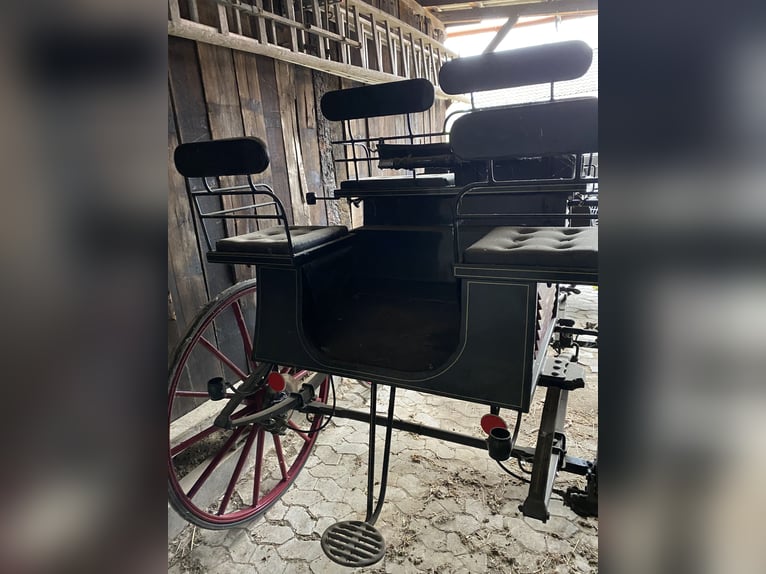 Vierspänner Dressurwagen