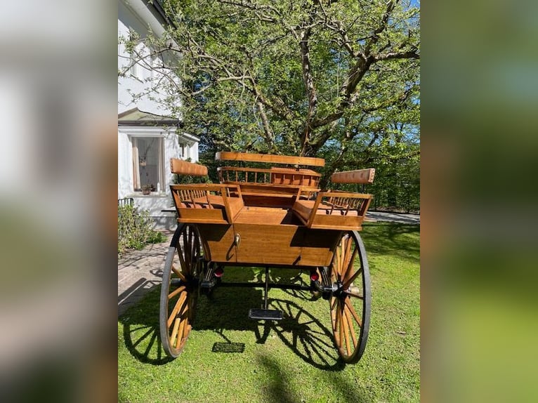 Wagonette exclusiva - obra maestra en roble natural