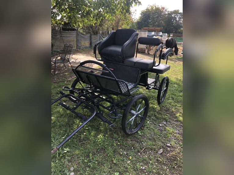 Carro de maratón para pony Shetty