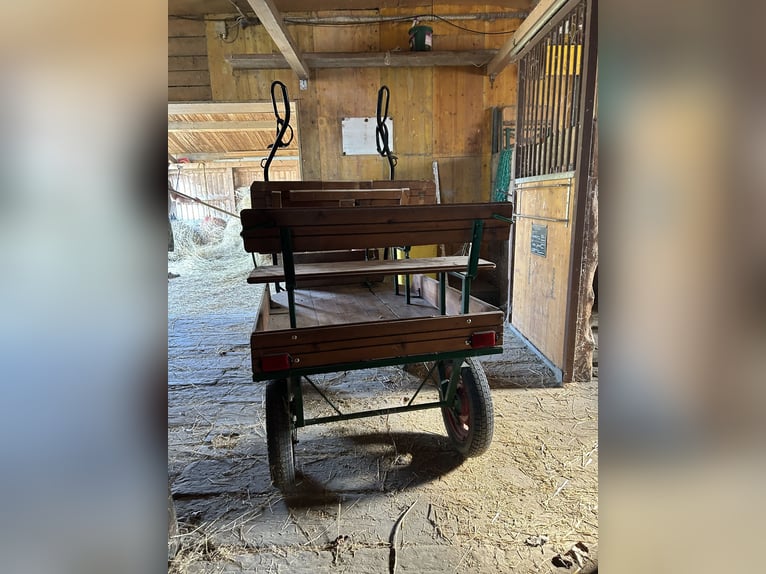 Carroza de ponis hecha a mano en madera