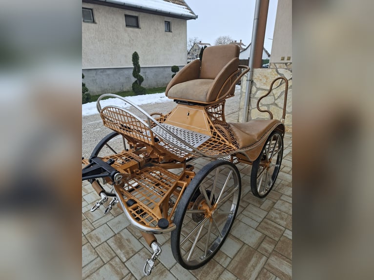 Dominiak pony pair marathon 