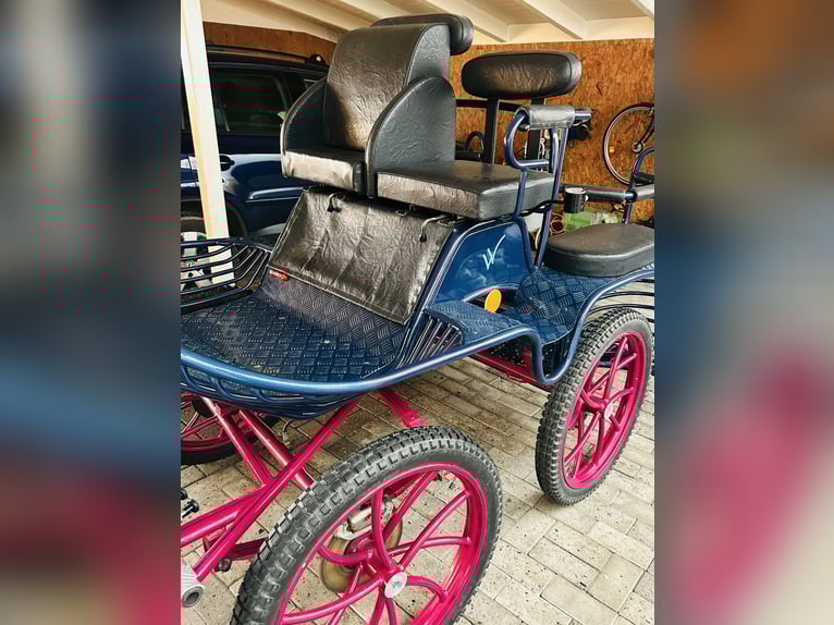 Kutsche Marathonwagen gebraucht