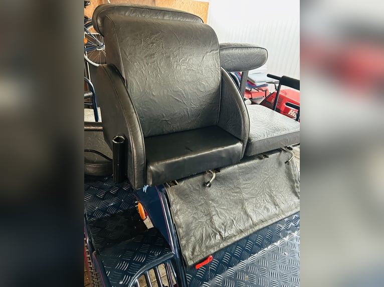 Kutsche Marathonwagen gebraucht