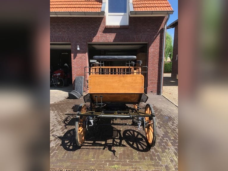 Bonito carruaje tipo wagonette, ideal como carruaje de caza.