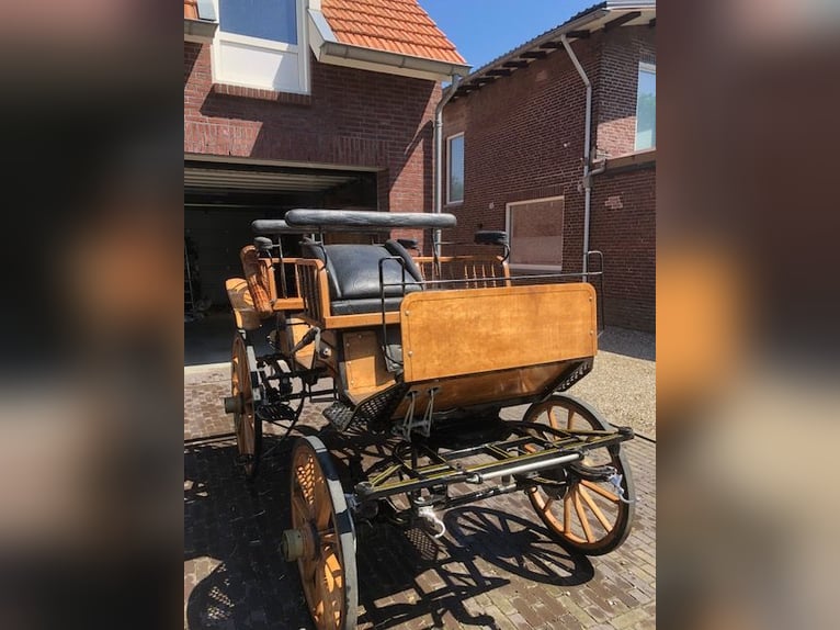 Bonito carruaje tipo wagonette, ideal como carruaje de caza.