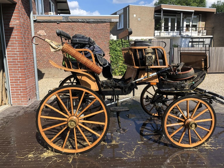 Bonito carruaje tipo wagonette, ideal como carruaje de caza.