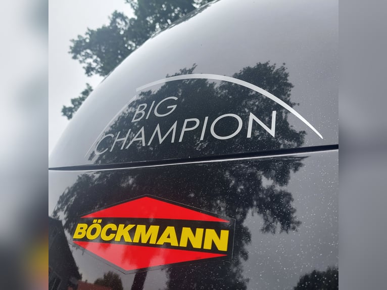 Böckmann Big Champion SKA WCF  PKW-Pferdeanhänger