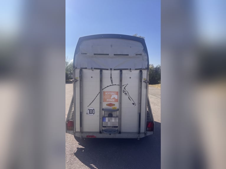 Böckmann Champion R – suelo de aluminio, ITV recién pasada hasta 04/2028, amplio guadarnés, frenos p