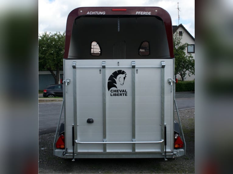 Caballo Liberte Gold II de aluminio, velocidad máxima de 100 km/h, Pullmann con doble suspensión