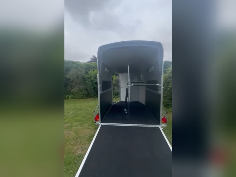 Caballo Liberte Touring Country XL