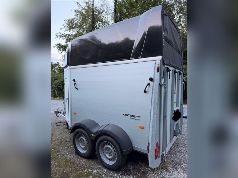 Humbaur Xanthos Aero 2400 – remolque para 2 caballos con guadarnés