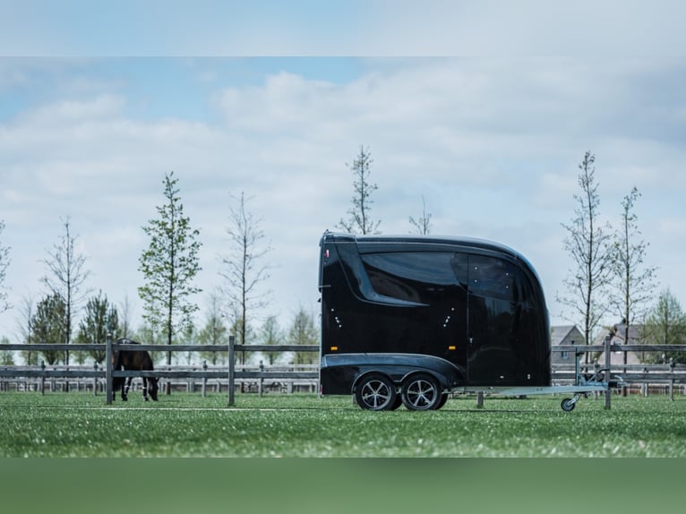 Remolque estándar STX, modelo 2021