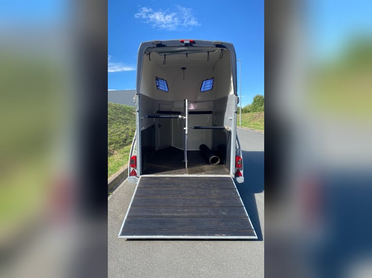 Remolque para caballos Sirius S75 con muchas extras, TÜV y neumáticos nuevos
