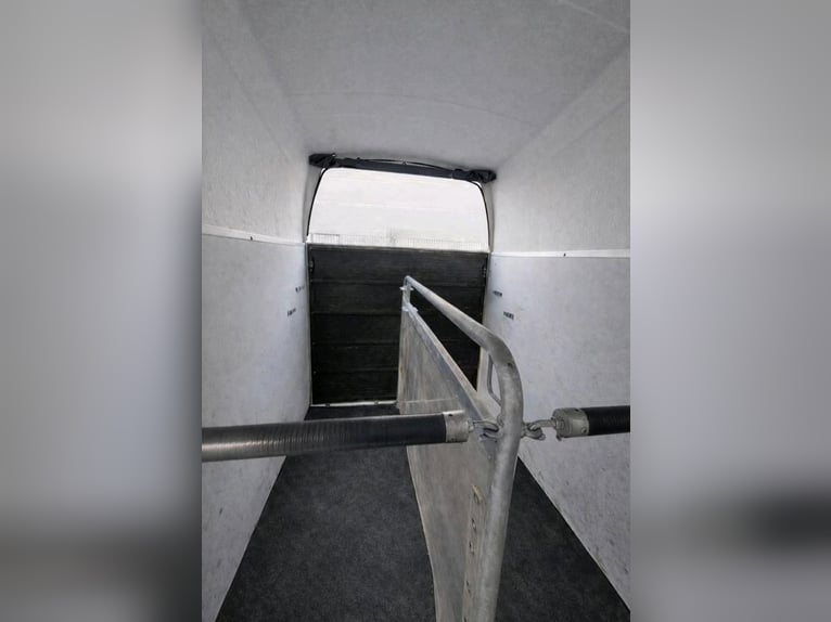 Remolque para ponis Wörmann Milano con suelo de aluminio – Como nuevo – Certificado de inspección vá
