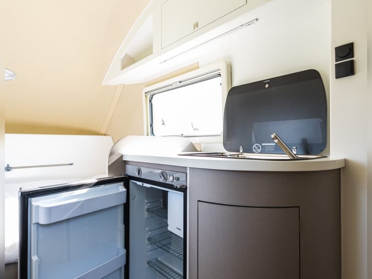 Suite de cuidado para caballos STX Groom, año 2021