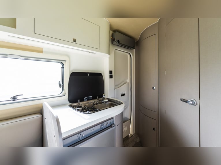 Suite de cuidado para caballos STX Groom, año 2021