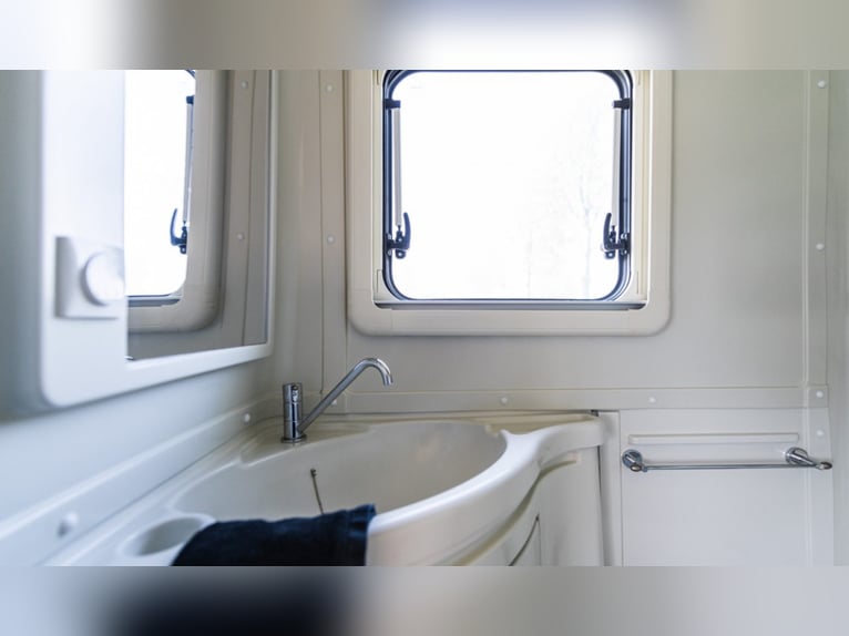 Suite de cuidado para caballos STX Groom, año 2021