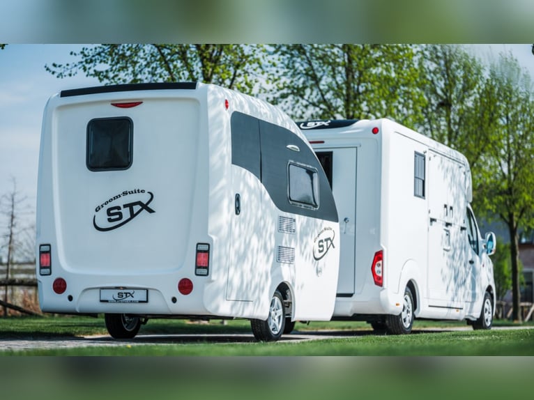 Suite de cuidado para caballos STX Groom, año 2021