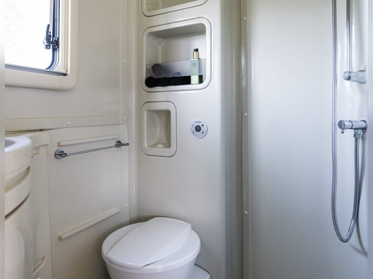 Suite de cuidado para caballos STX Groom, año 2021