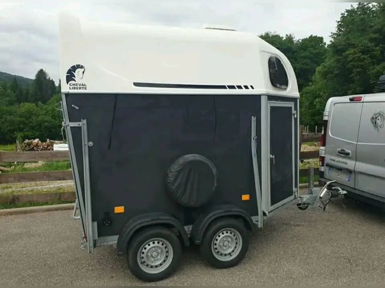 Caballo de libertad, para 1,5 plazas