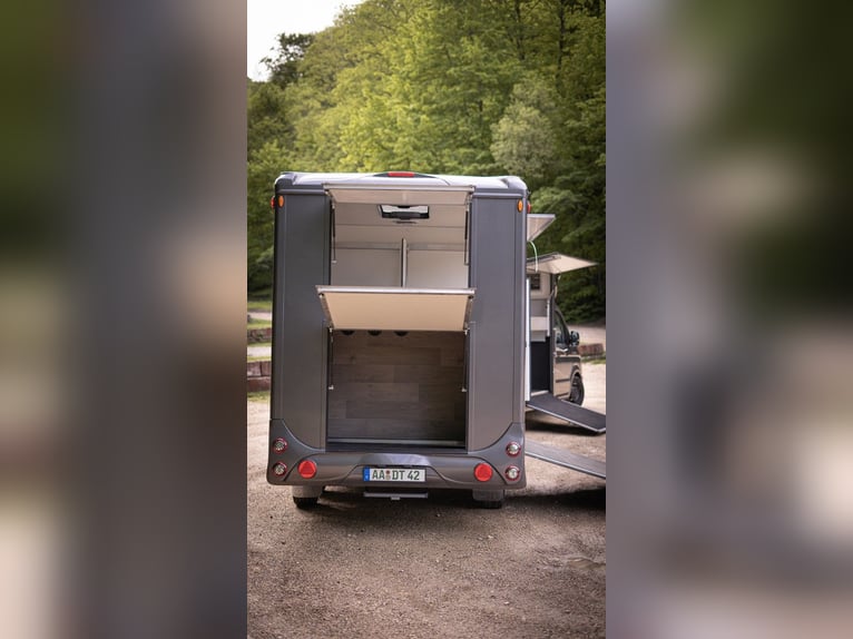 Remolque para 2 caballos con compartimento de vivienda y ducha - Transporte de caballos - Camión