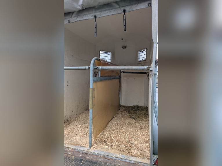 Remolque para caballos Böckmann Classic de doble piso, completamente de polietileno