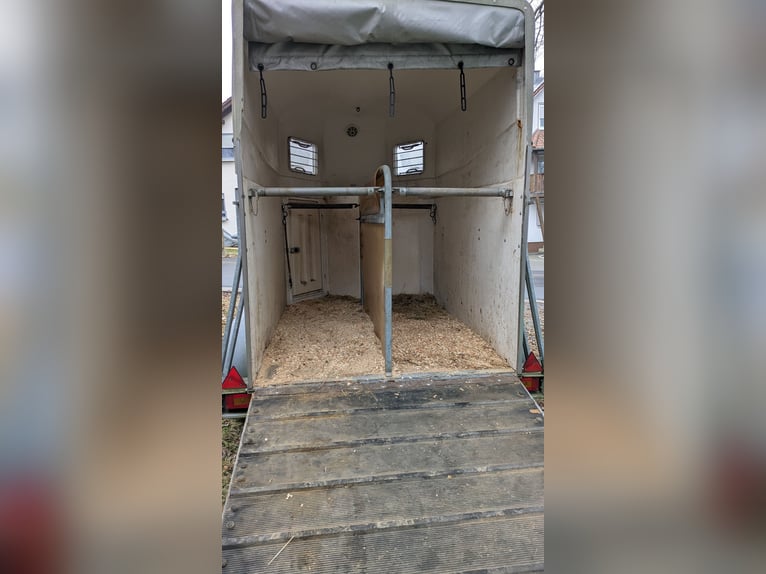 Remolque para caballos Böckmann Classic de doble piso, completamente de polietileno