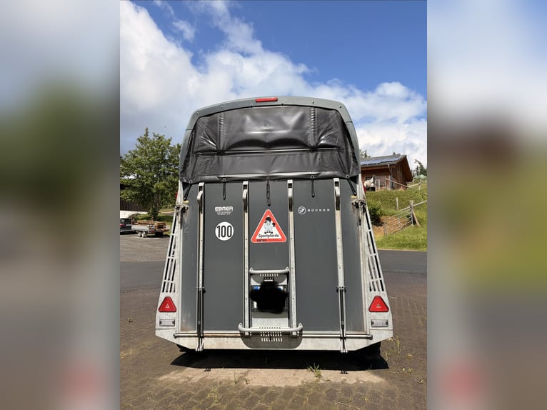 Remolque para caballos Bücker Careliner L gris con cámara
