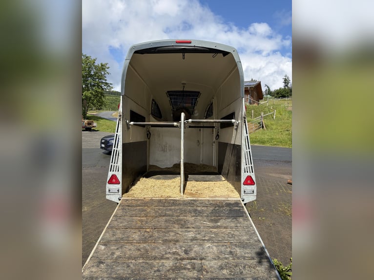 Remolque para caballos Bücker Careliner L gris con cámara