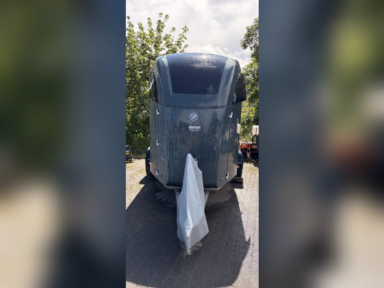 Remolque para caballos Bücker Careliner L gris con cámara