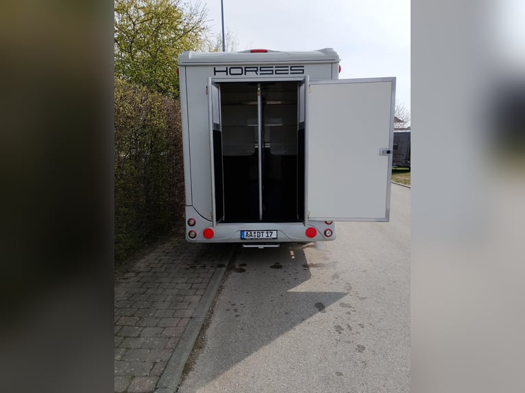 Transportín para caballos, remolque para caballos DT Trailer, potro con vivienda, remolque para caba