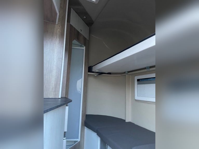 Transportín para caballos, remolque para caballos DT Trailer, semental con vivienda, remolque para c