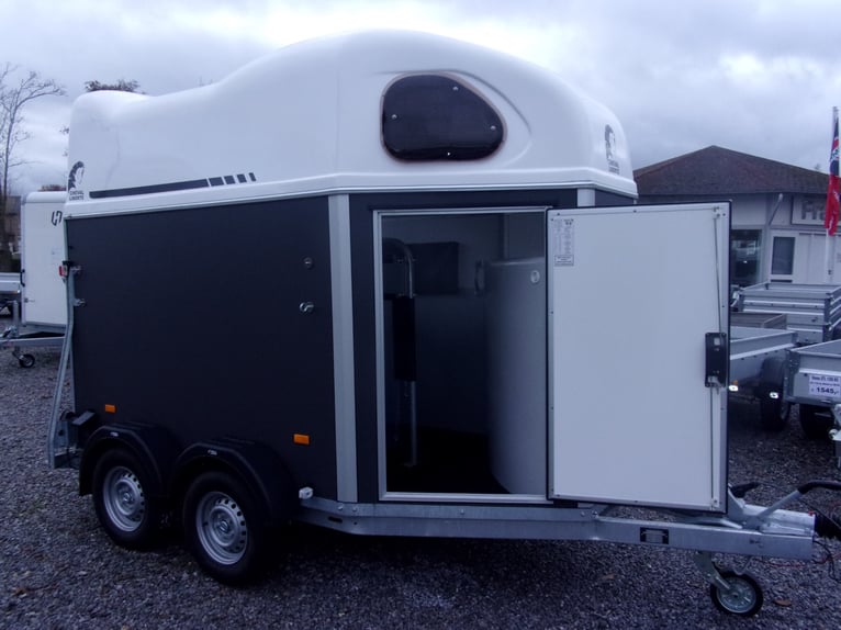 CL Gold First: ¡el mejor caballo de 2 años en relación calidad/precio del mercado!