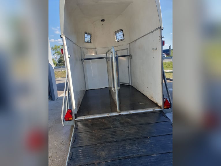 Remolque para caballos BLOMERT Nairobi