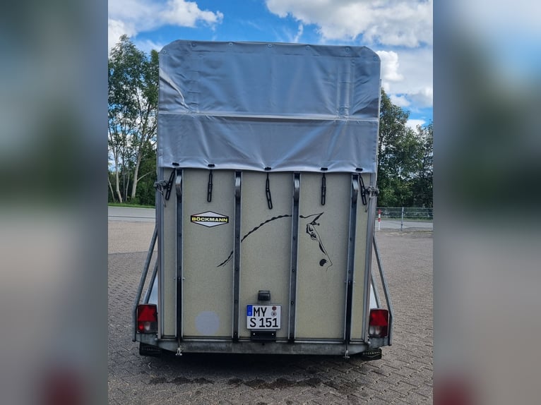 Remolque para caballos Böckmann Classic Duo, de poliéster completo, con TÜV recién renovado