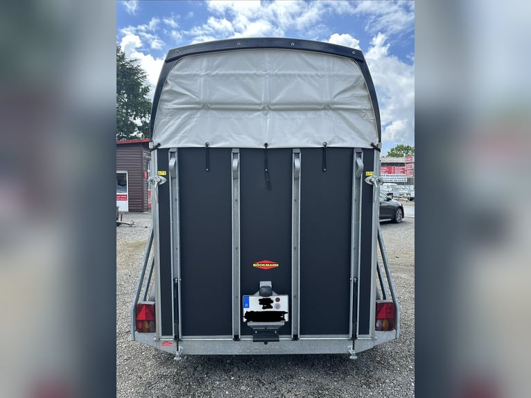 Remolque para caballos Böckmann Duo EspriT en plata y negro con licencia para 100 km/h