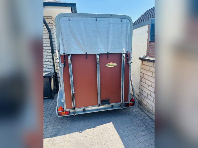 Remolque para caballos Böckmann para el transporte de dos caballos