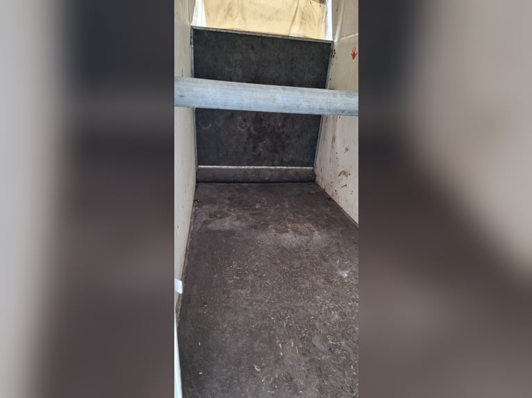 Remolque para caballos de 1,5 toneladas en buen estado