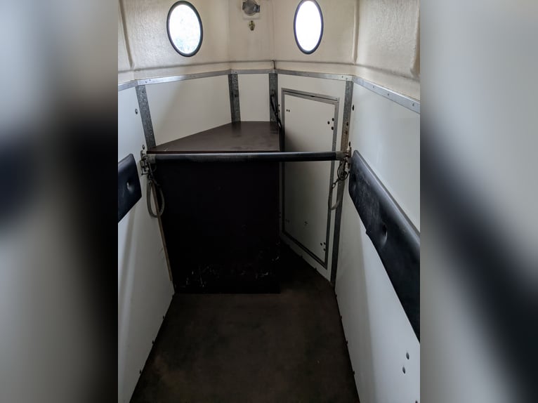 Remolque para caballos de primera categoría, en muy buen estado, con capucha de polietileno.
