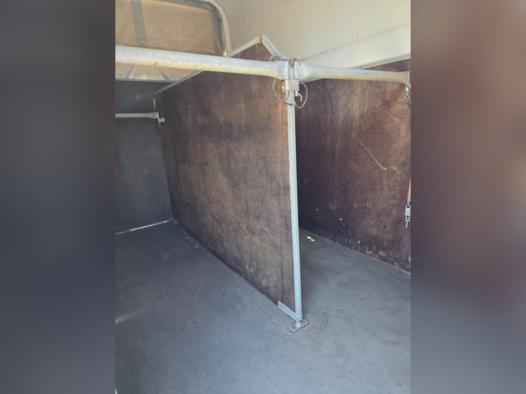 Remolques para caballos para renovar