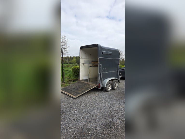 Böckmann Comfort, inspección técnica válida hasta 02/2028