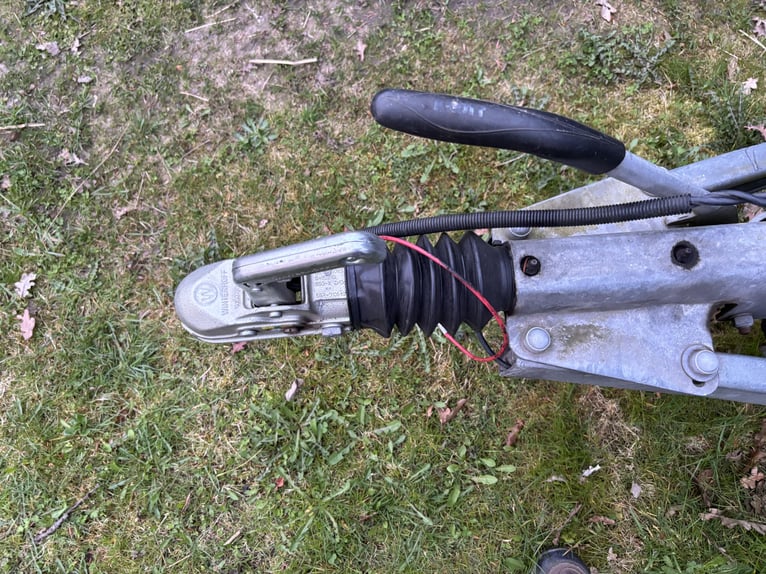 Caballo Liverte Gold con SK y suspensión Pullmann