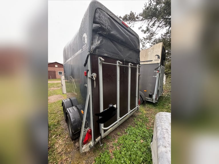 Caballo Liverte Gold con SK y suspensión Pullmann